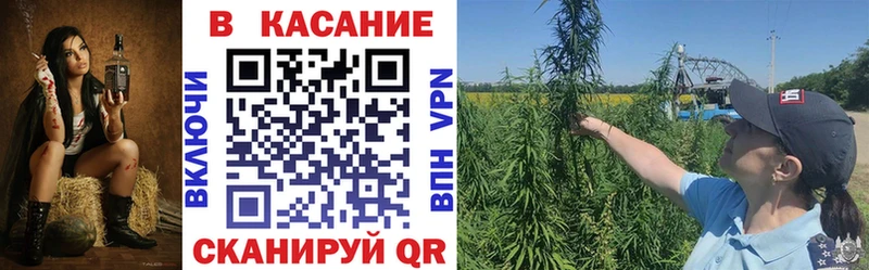 Купить Гагарин Галлюциногенные грибы  Кокаин  Меф мяу мяу  Амфетамин  Каннабис  СОЛЬ 