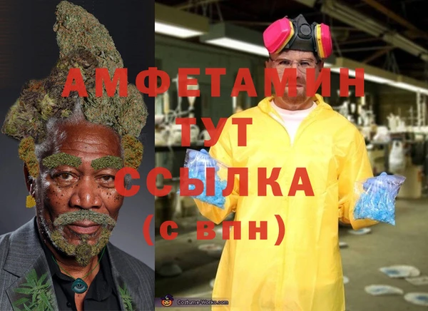 молекула духа Куйбышев