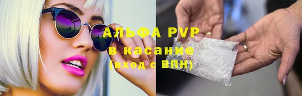 ПСИЛОЦИБИНОВЫЕ ГРИБЫ Кукмор