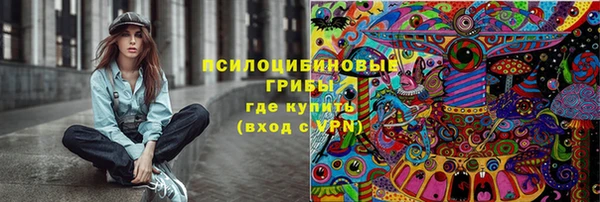ПСИЛОЦИБИНОВЫЕ ГРИБЫ Кукмор