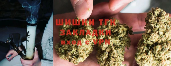 ПСИЛОЦИБИНОВЫЕ ГРИБЫ Кукмор