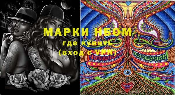 ПСИЛОЦИБИНОВЫЕ ГРИБЫ Кукмор