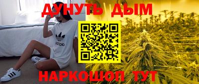 jwh Гатчина