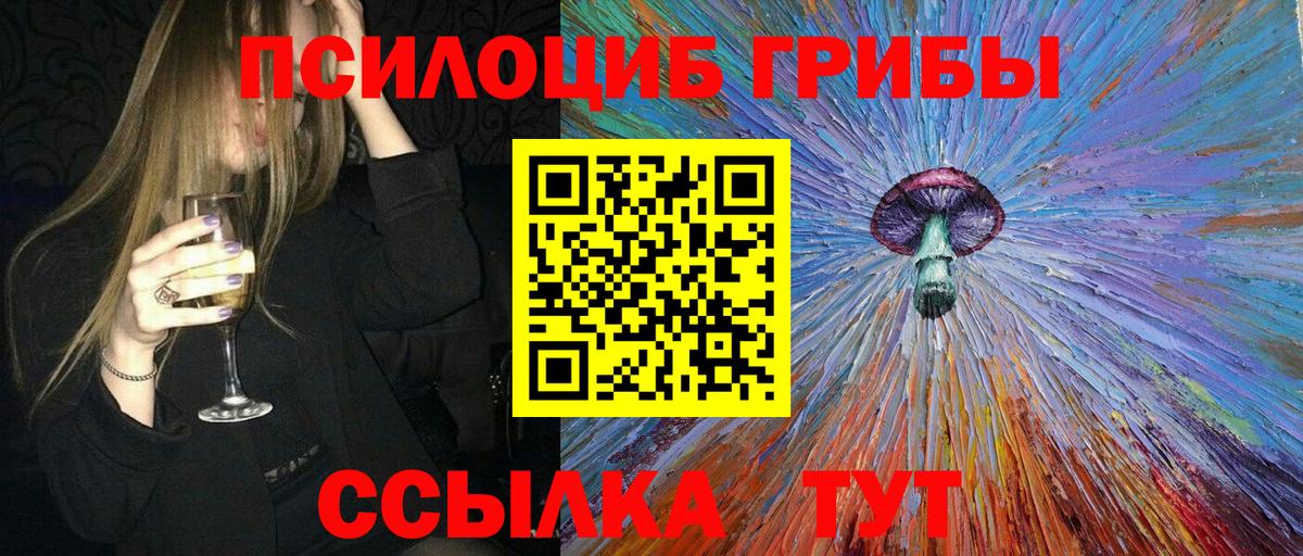 Гагарин  Псилоцибиновые грибы Psilocybine cubensis  Вход с VPN 
