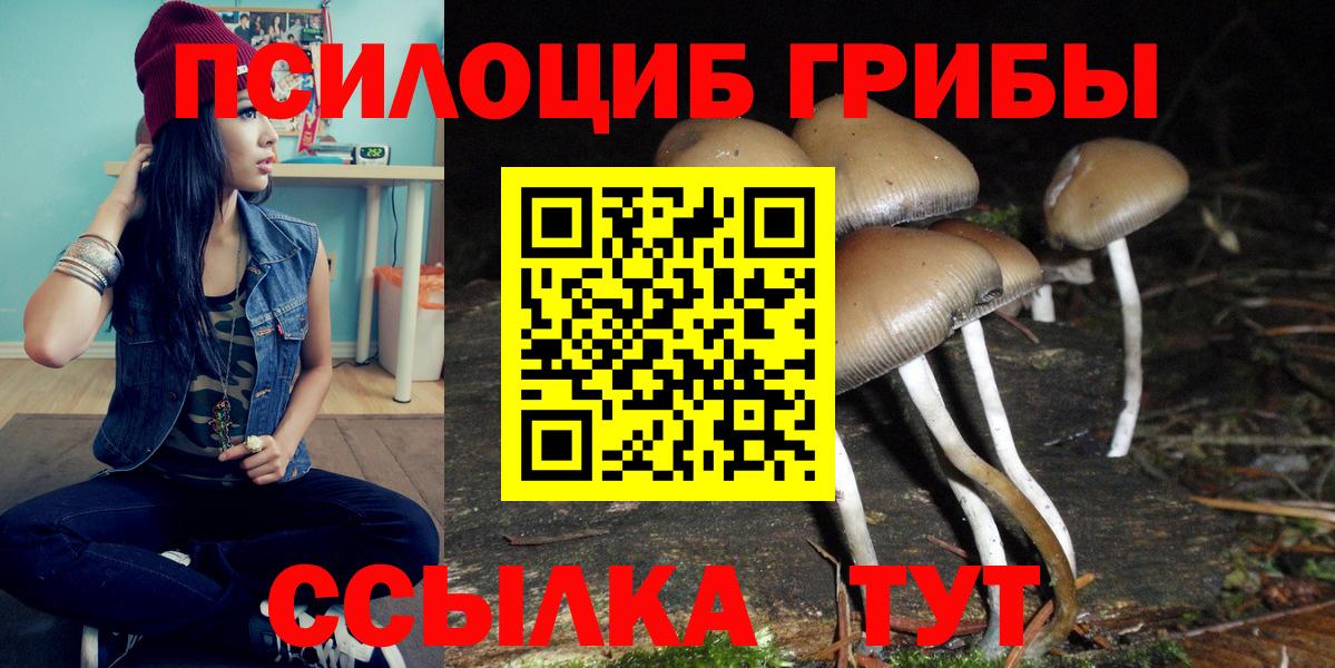 Псилоцибиновые грибы Psilocybine cubensis Гагарин